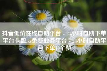 卡盟自助网站,快手点赞自助平台有哪些