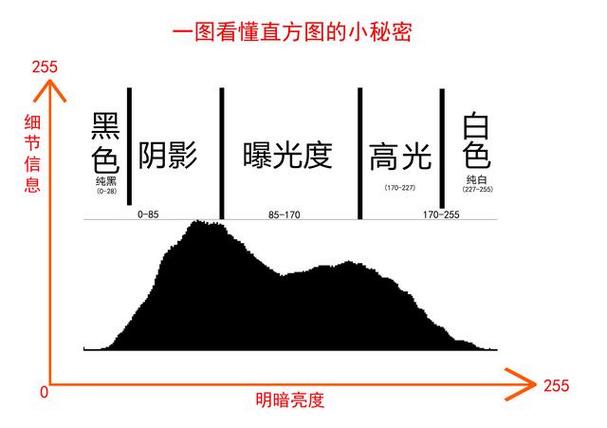 word直方图怎么建立