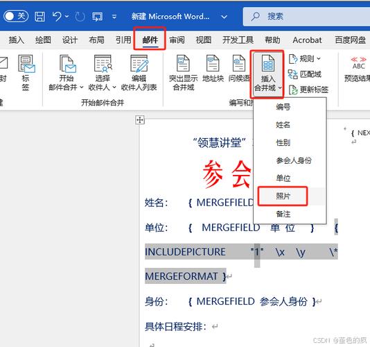 word的域怎么做