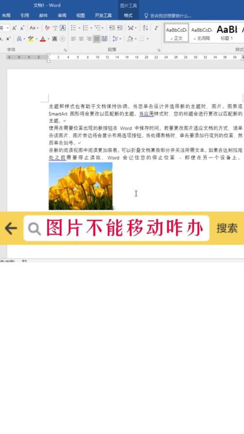 word2010图片怎么移动