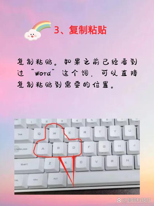 word怎么打侧面