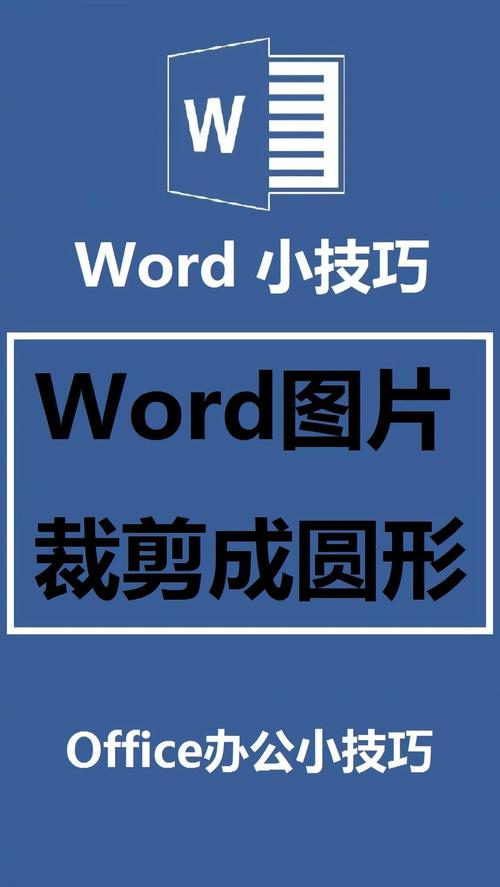 word圆形图怎么做