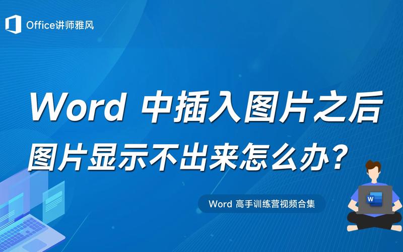 word插入图片怎么不显示