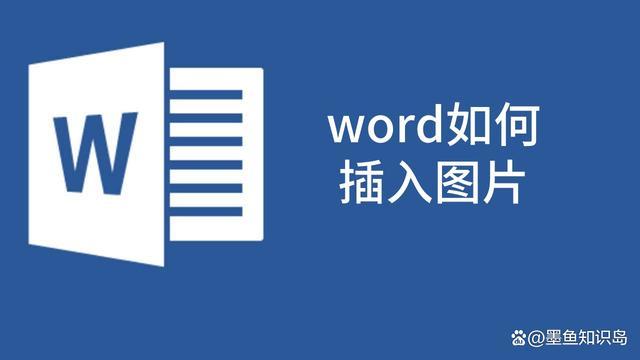 word文档怎么用图片