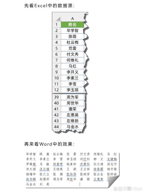 word怎么插入名字