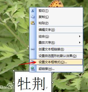 word2007怎么去掉边框