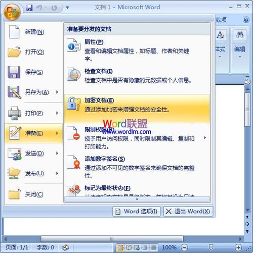 word2007密码怎么设置密码