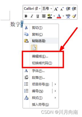 word怎么去掉公式域