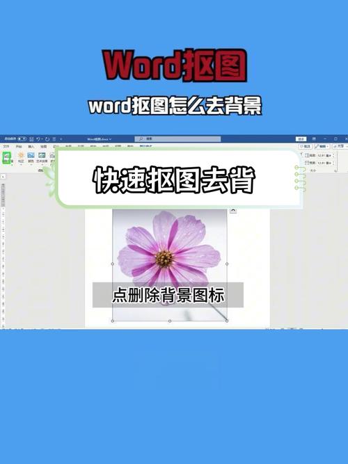 word怎么抠图