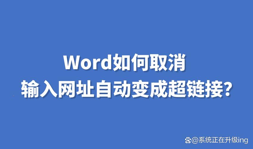 Word怎么不显示域名