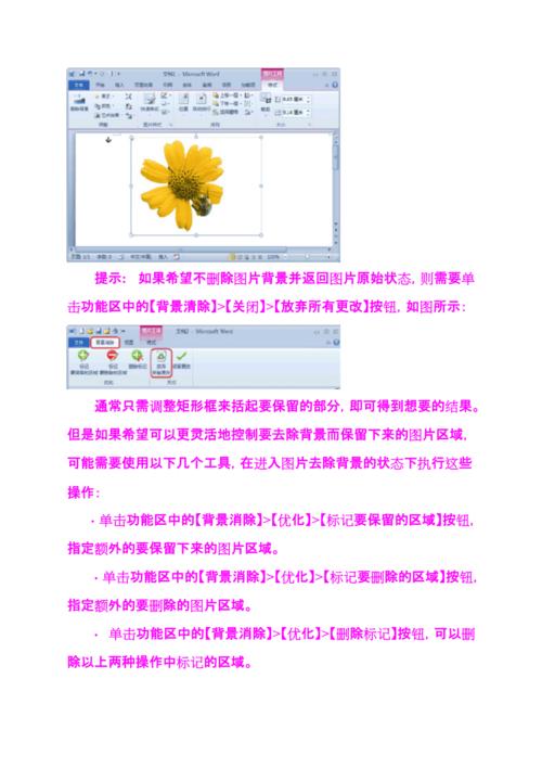 word2010背景怎么去掉