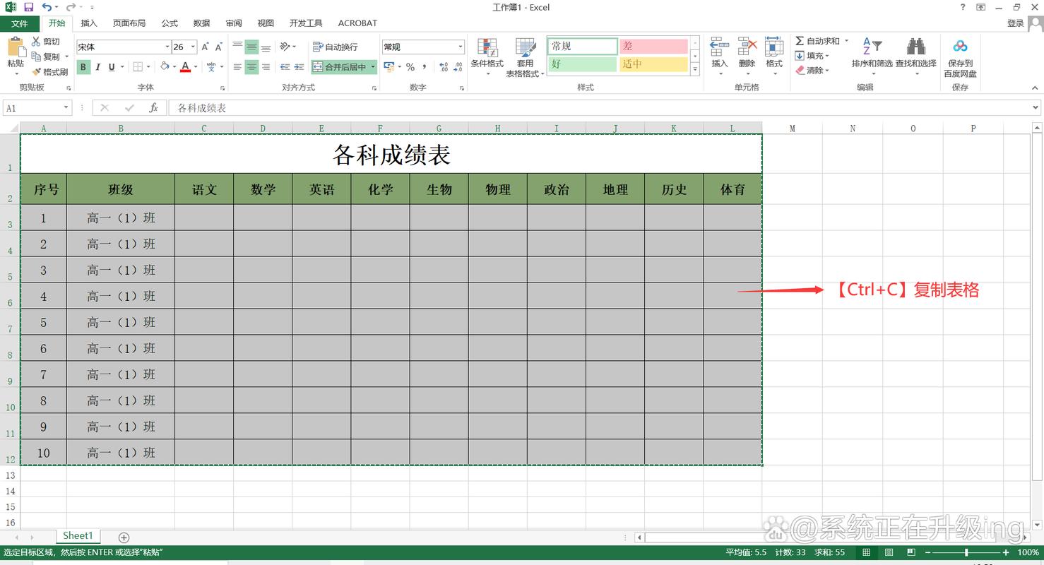 word表格显示不全怎么办