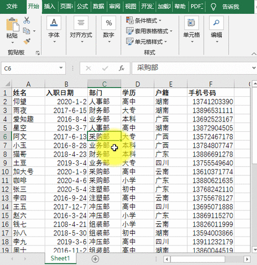 word怎么做数据条