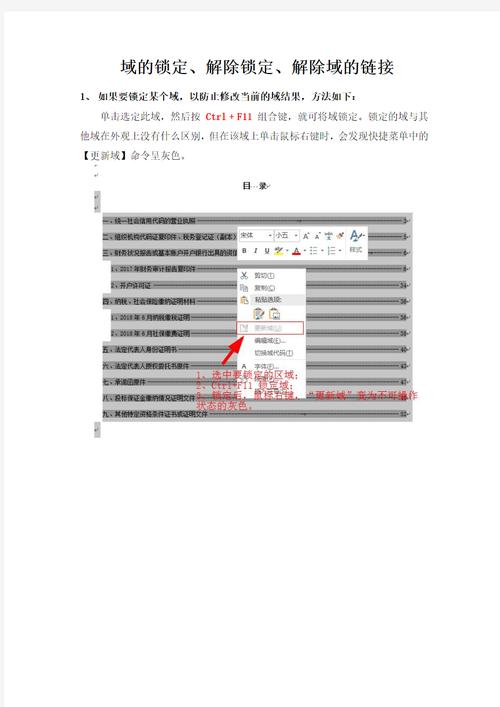 怎么查看word域解除