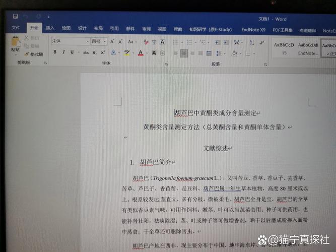 怎么查看word的版本