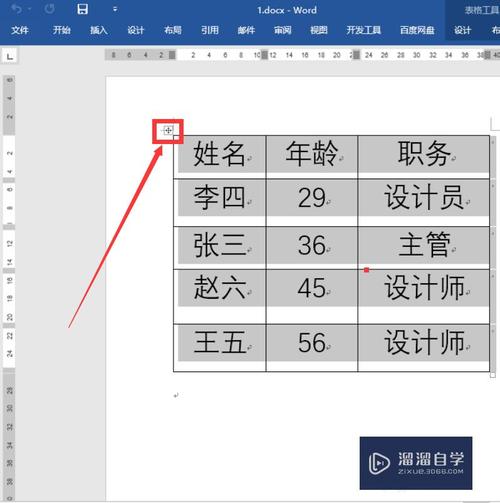 word表格怎么加标题