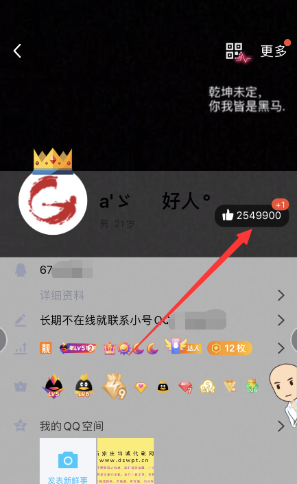 名片赞qq网址,都有什么业务？