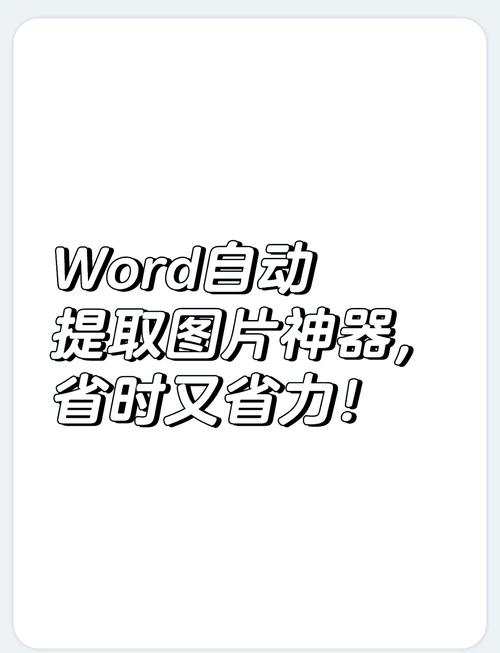 怎么提取单独的word