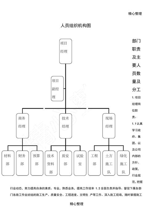 word怎么做结构组织图