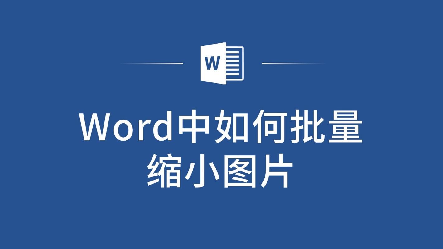 word图片怎么调缩放