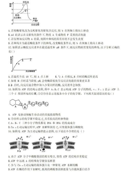 怎么截word长图