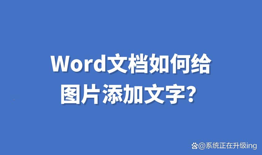 word中怎么放文字