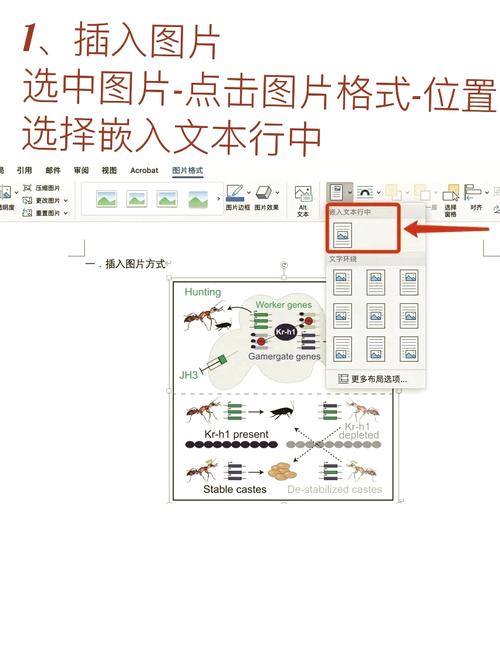 word图片怎么调缩放