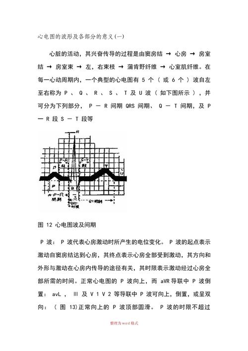 word作图怎么画波形