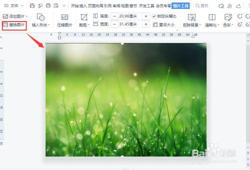 win7怎么把word背景变成绿色