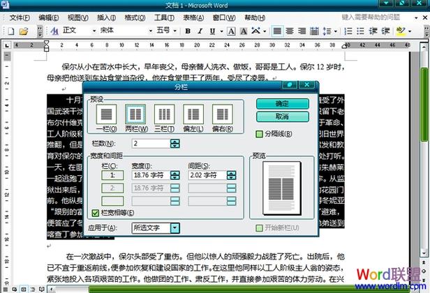 怎么让word分栏