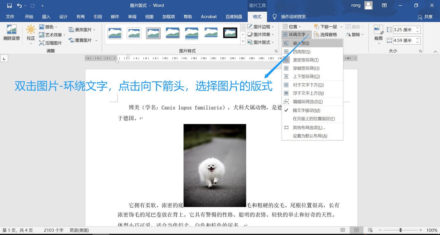 word2007怎么插入图片