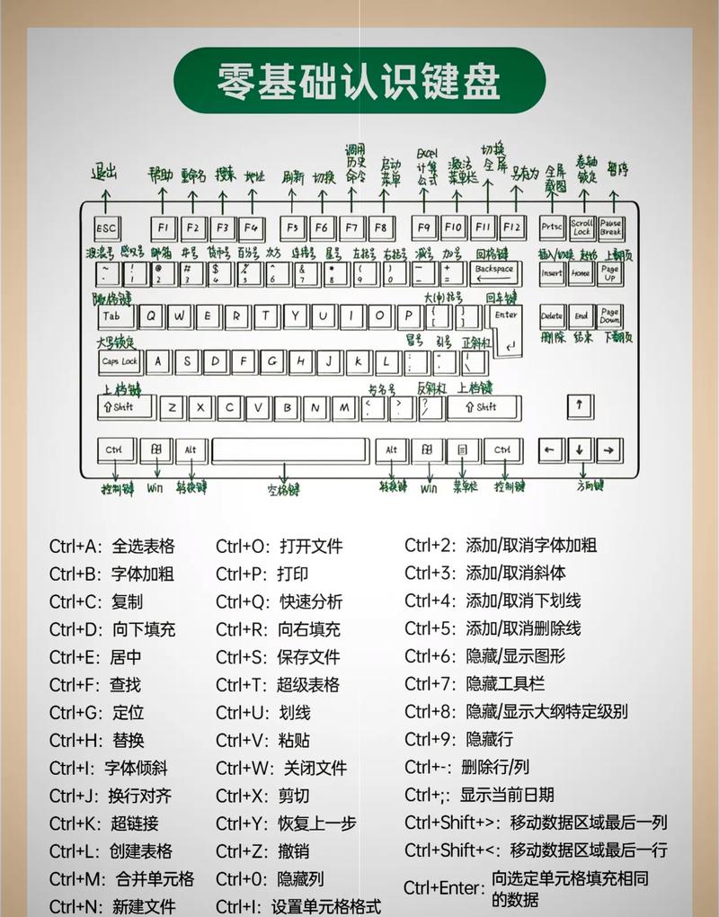 word怎么移动一行快捷键