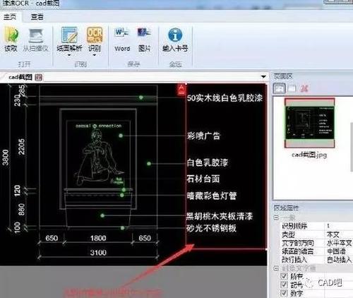 怎么把cad导入到word