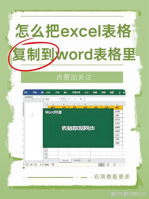 word的表格怎么复制