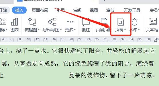 word2007的页码怎么设置页码