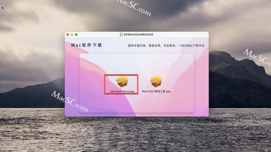 mac系统怎么下载word