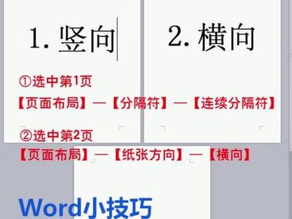 word怎么分纵向横向