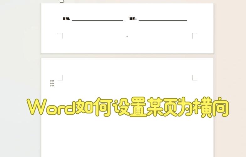 word怎么分纵向横向