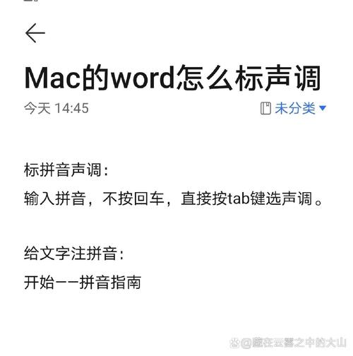 word中怎么带声调