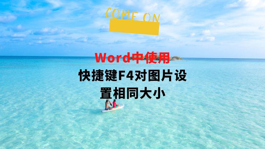 word的图片怎么复制