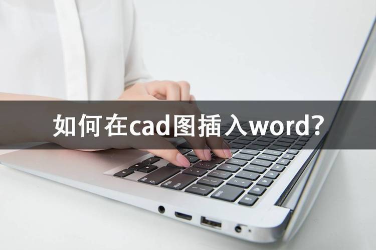 word怎么加cad图