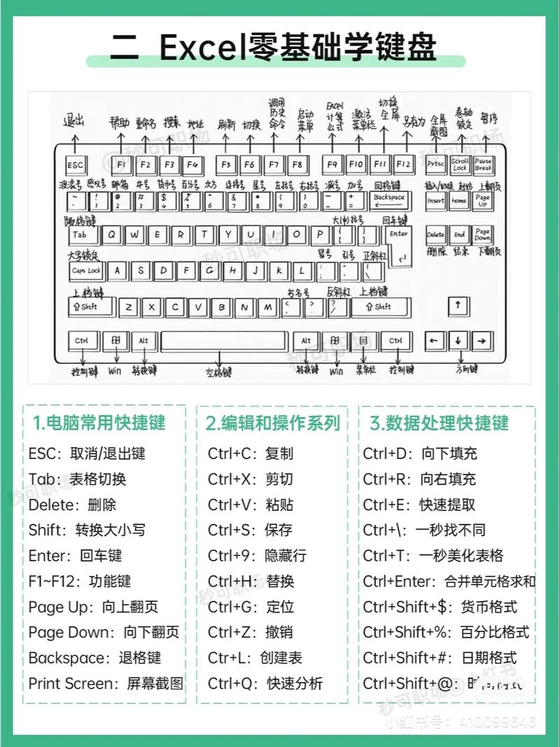 电脑怎么用word表格