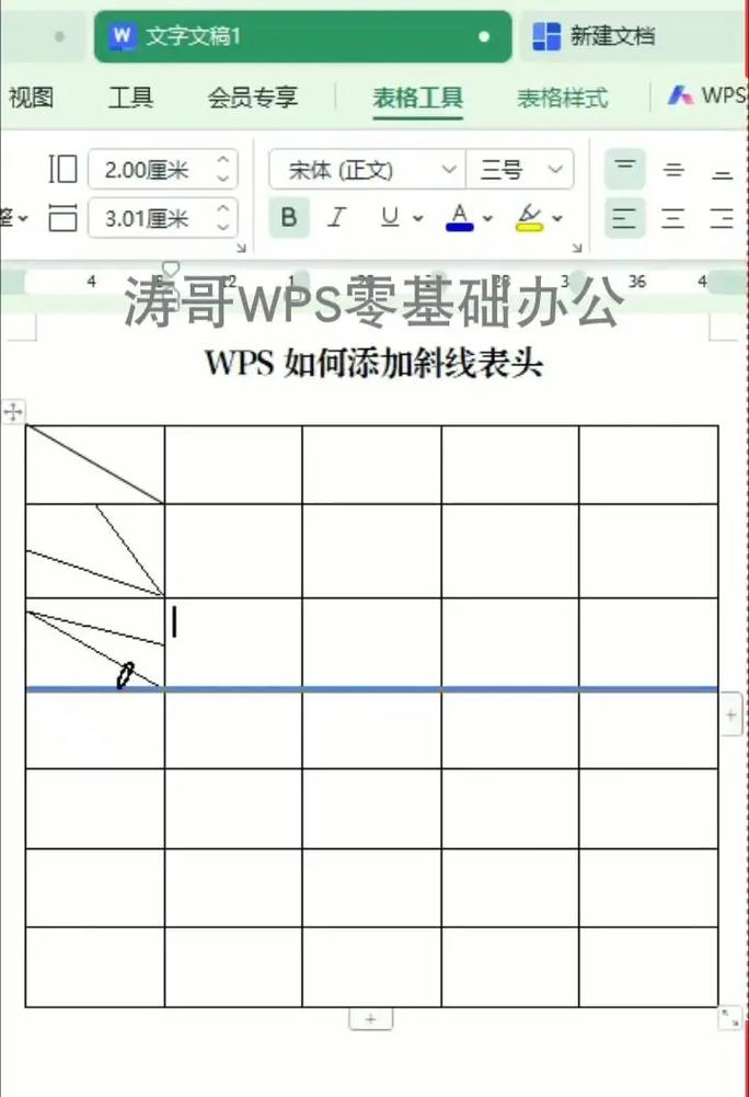 word怎么加表格线