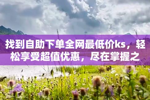 ks播放量自助下单平台网站,快手业务在线下单平台