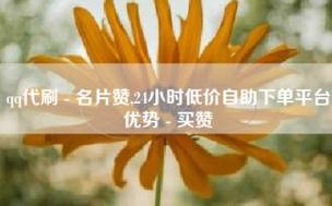 自助下单 最专业的平台,小熊qq代网站刷