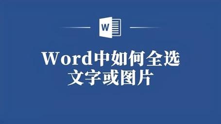 怎么全选word图片