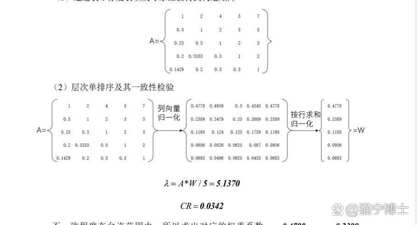 word 怎么写矩阵