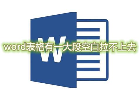 怎么拉出word字段