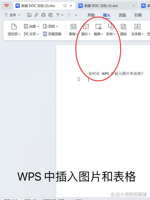 怎么在word加入表格