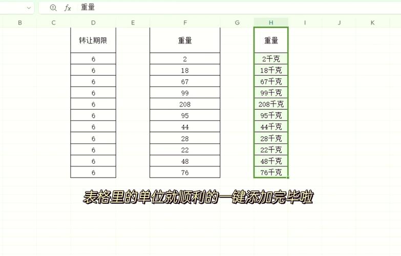 word数字怎么变化